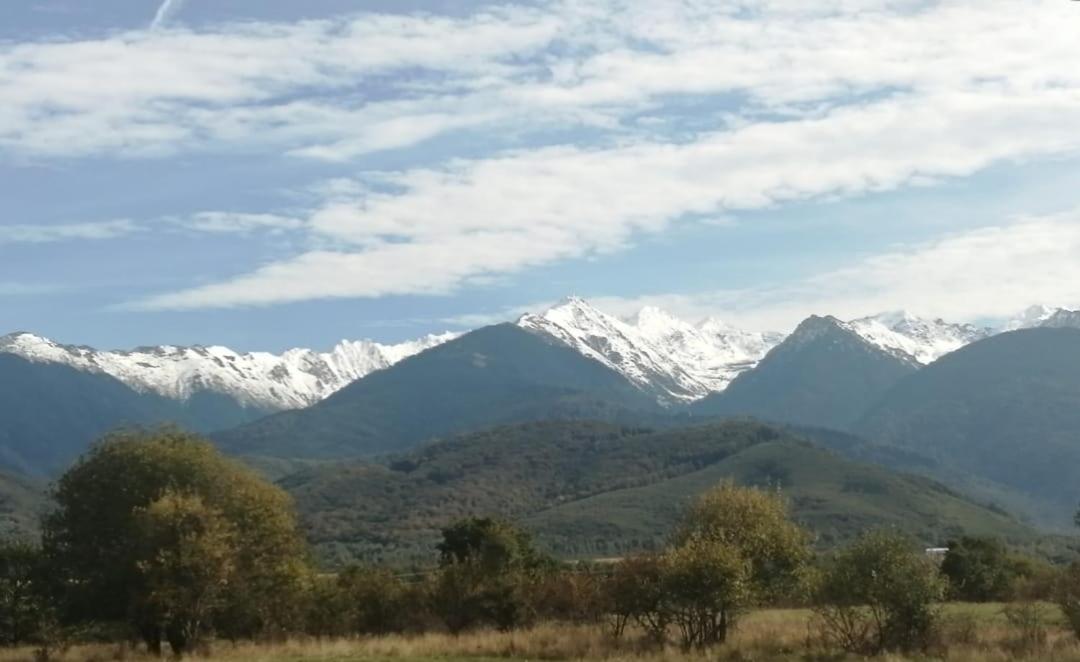 Pensiunea Dates Cîrţişoara Exterior foto