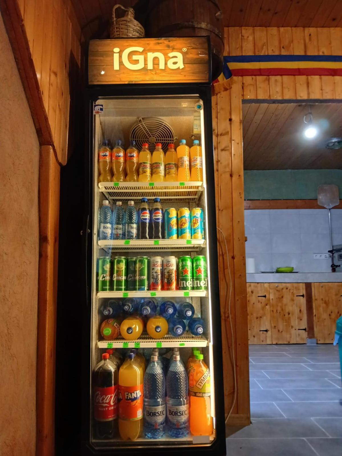 Pensiunea Dates Cîrţişoara Exterior foto